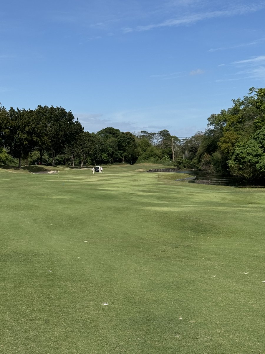 Rex Tattersall tweet media