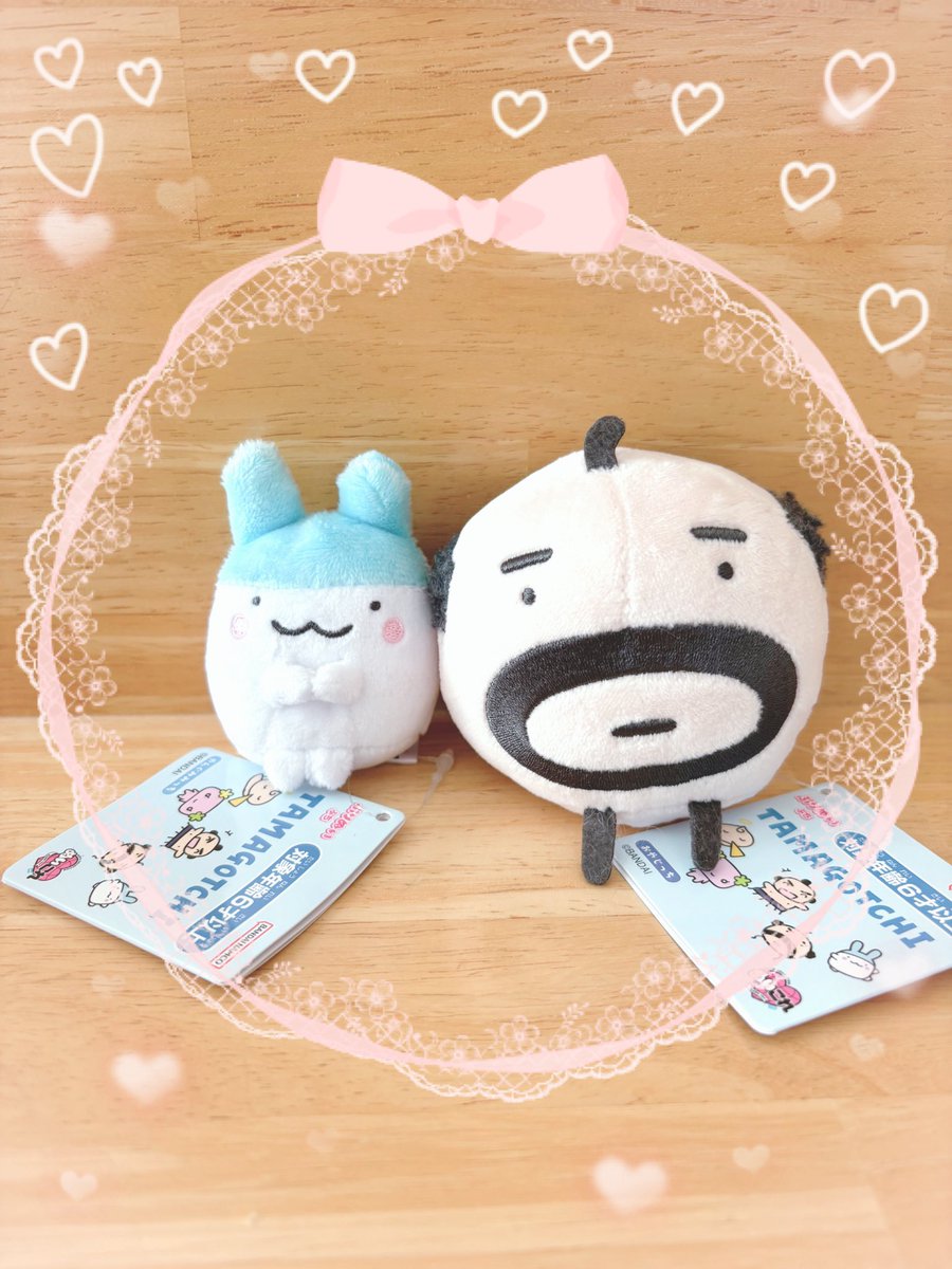 みてみてー😍 おやじっちと並べるとやんぐみみっちの小ささが分かり