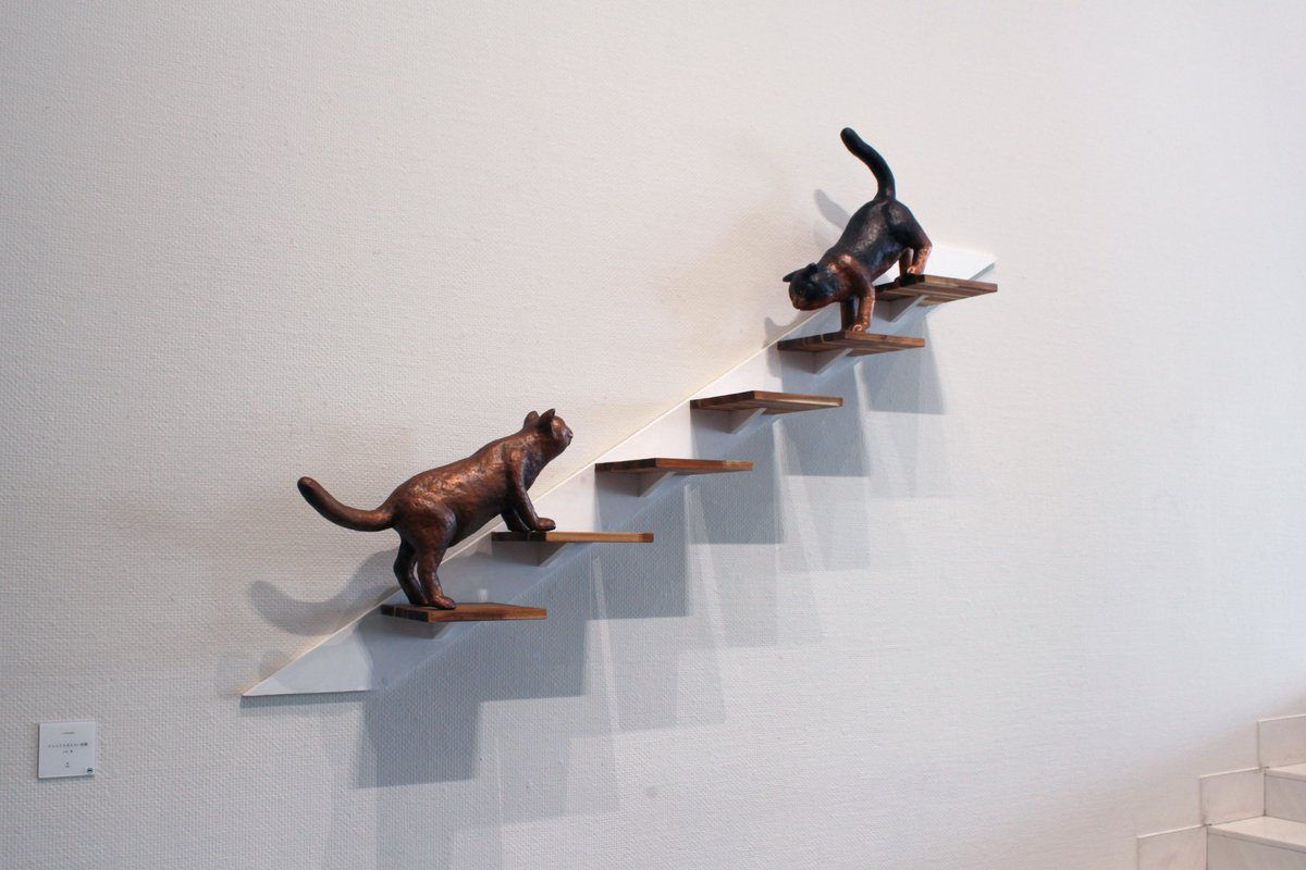 SPIRAL スパイラル tweet media