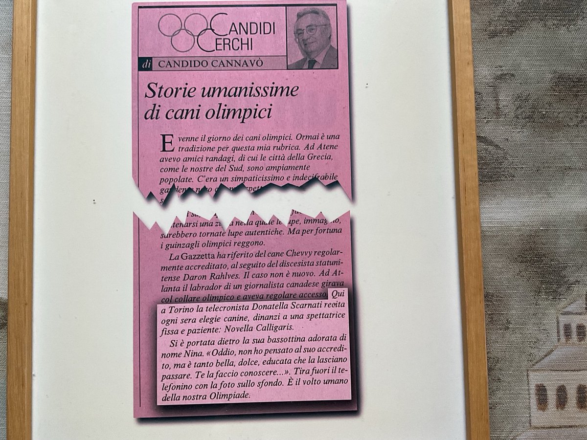 donatella scarnati tweet media