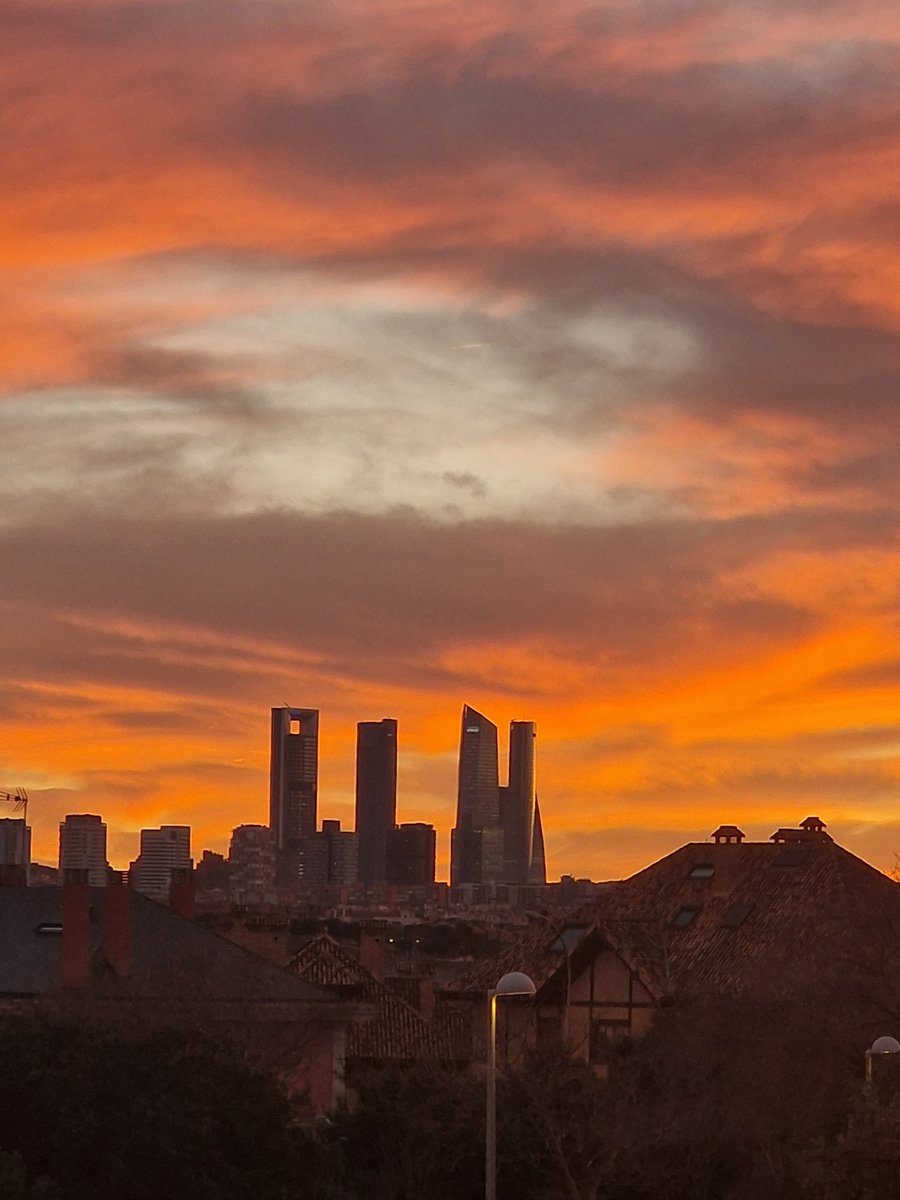 Preciosos <a href="/DelfinaMonfort/">Del Monfort</a> ,comparto uno mioreciente #Madrid