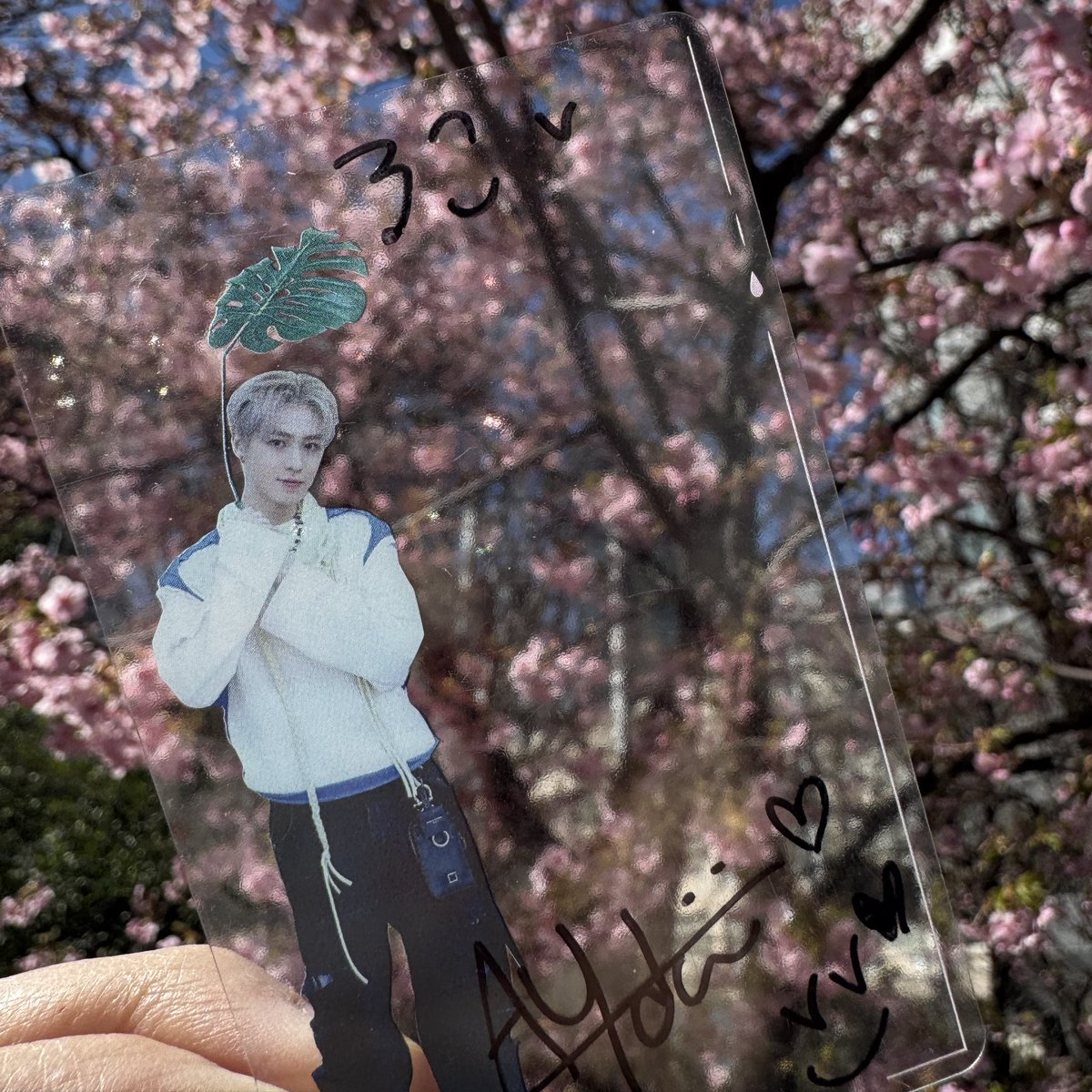 ろこ🌻🦔⸒⸒🧡 tweet media