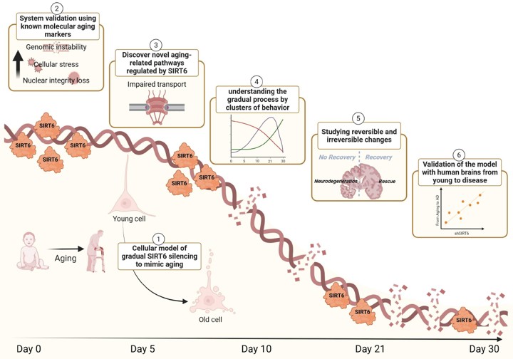 Debbie Toiber tweet media