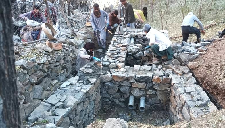 Katharina Ritz tweet media