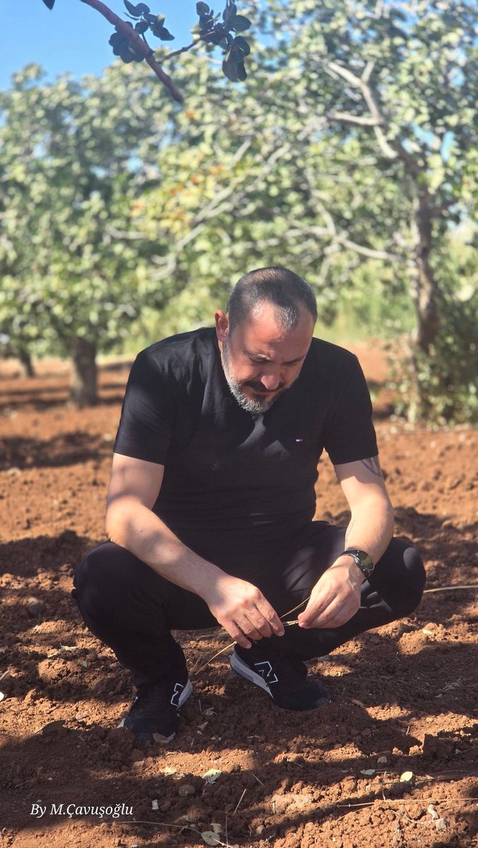 chavush (@_chavush_) on Twitter photo 