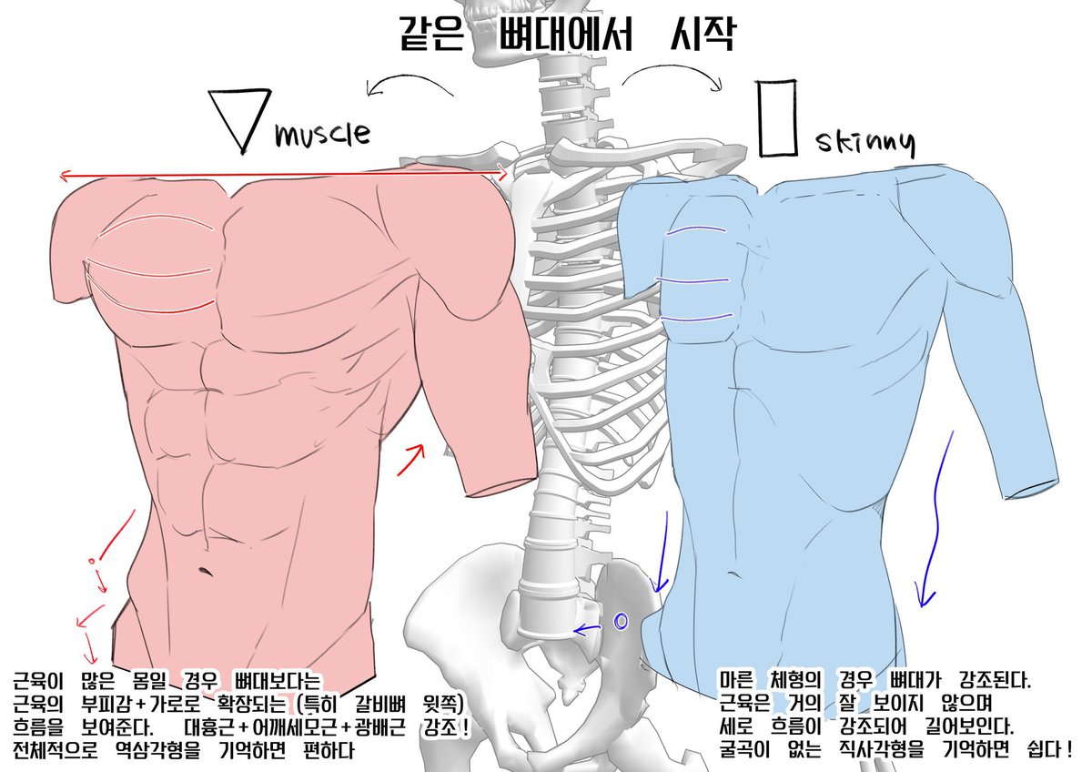 이것까지 공유할까말까 했는데….

슬렌더 >>미소년<< 그리고 싶으신 분들?
2번 역이용 해보세요

남캐는 허리 잘록한 부분이 좀 아래라
오히려 팔꿈치=흉곽 맞춰주면
그 묘한…((뭔지 아시죠)) 예
무튼 그 느낌이 납니다😗

사진 오른쪽 참고>>