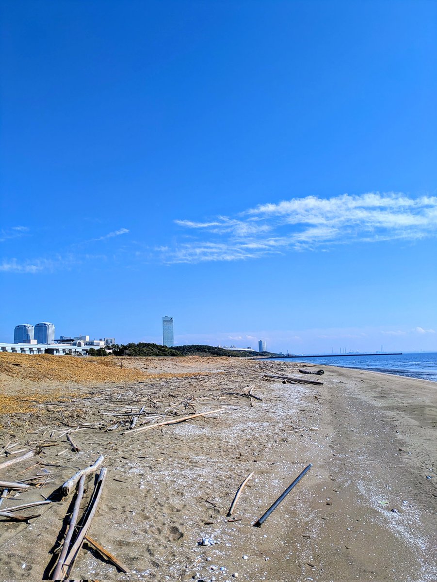 大作 清隆 千葉市 tweet media