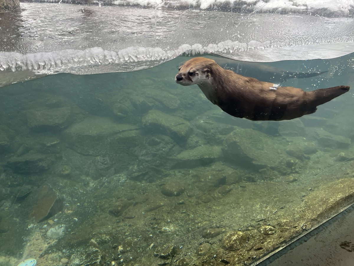 Ryan Primdahl tweet media