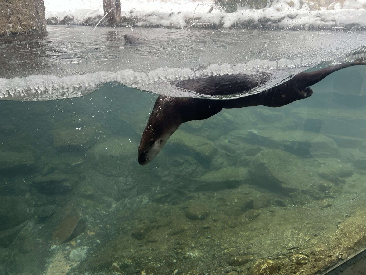 Ryan Primdahl tweet media