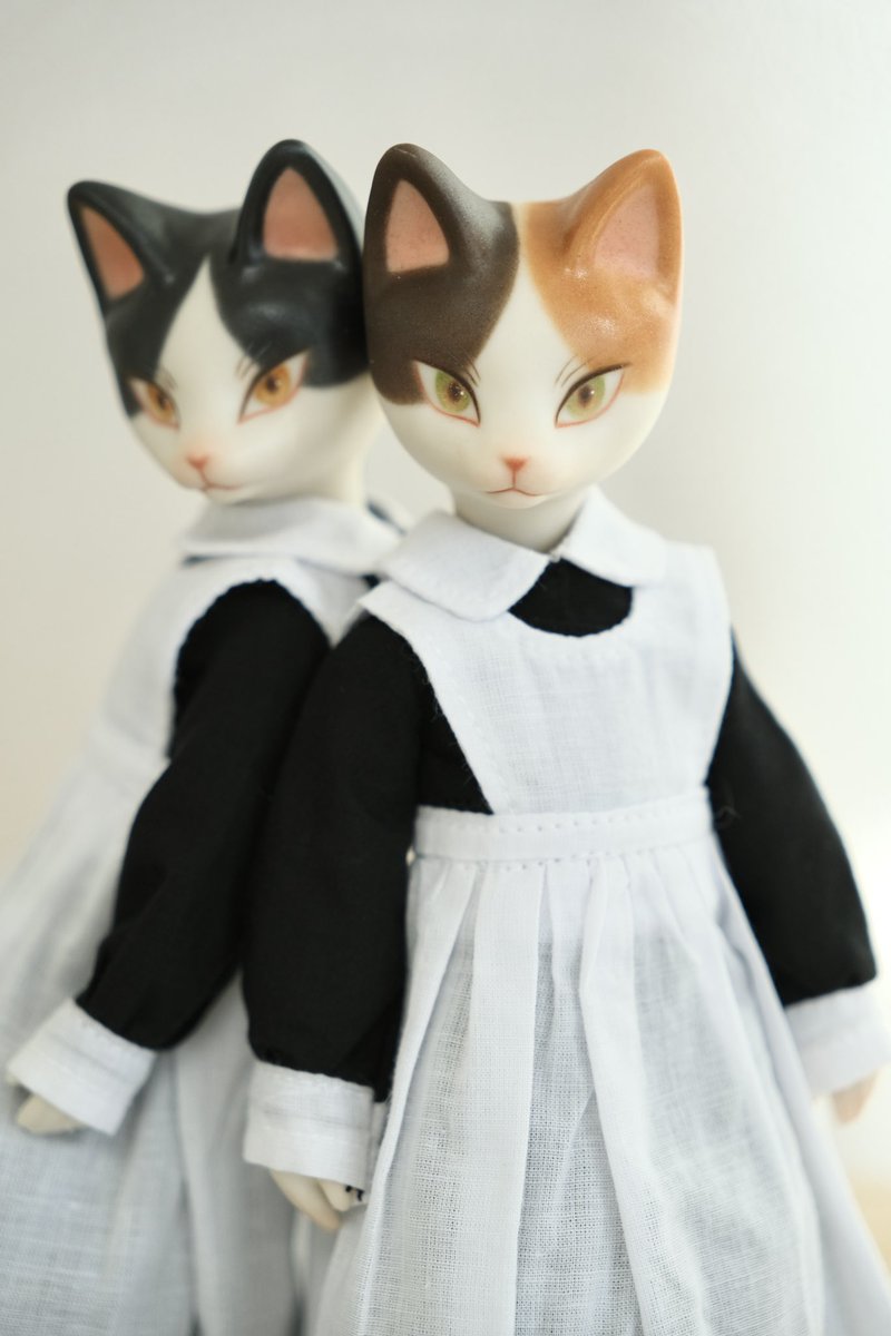 🍄cocoroico🍄 tweet media