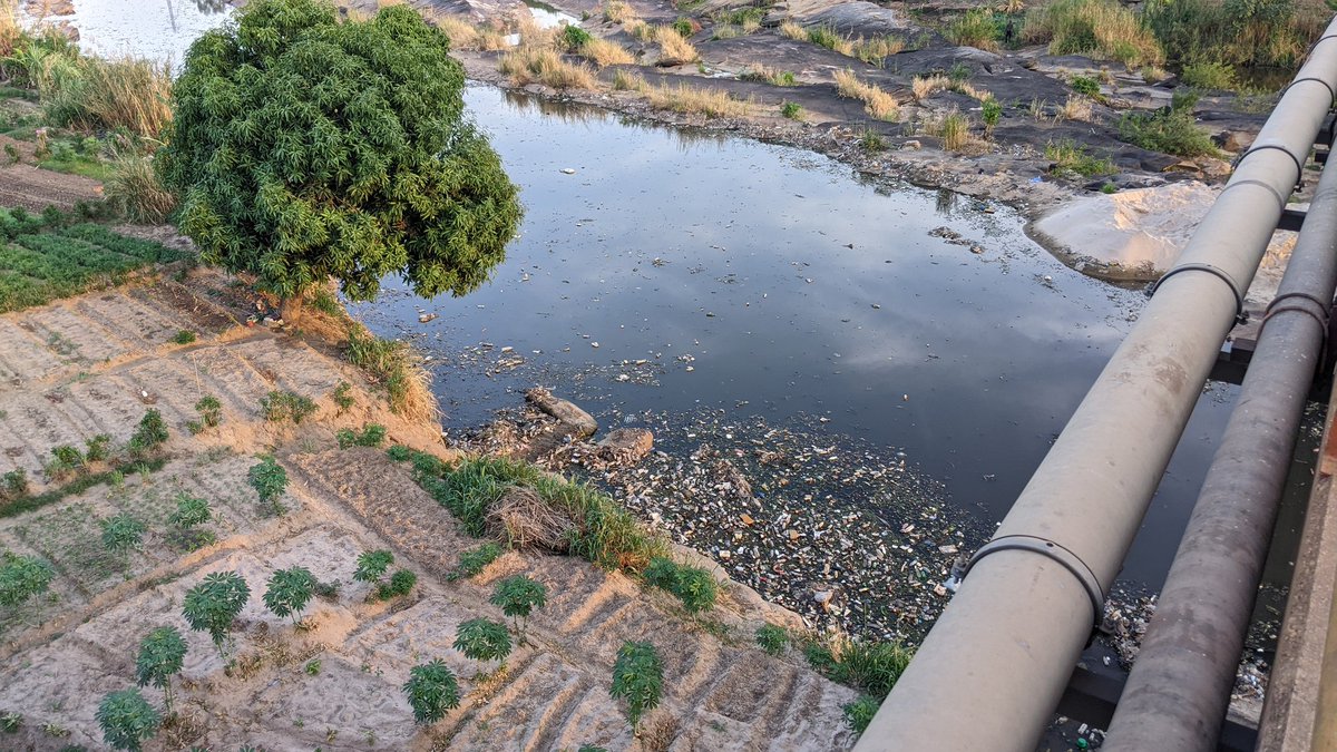 Sabine anoukoum tweet media