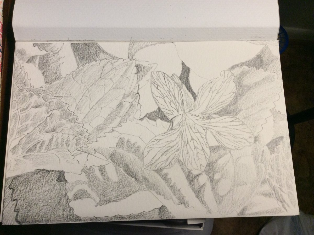 RaymondDukes706's tweet photo. #ViolaFlower #MixedMedia #Art https://t.co/zl5pVWy5ai