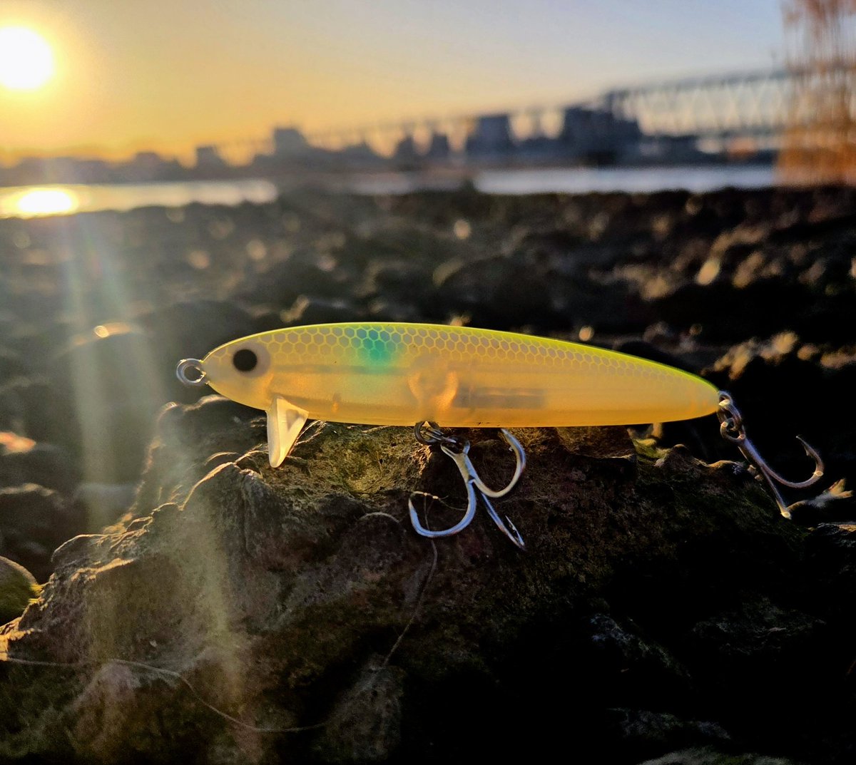 りょう tweet media