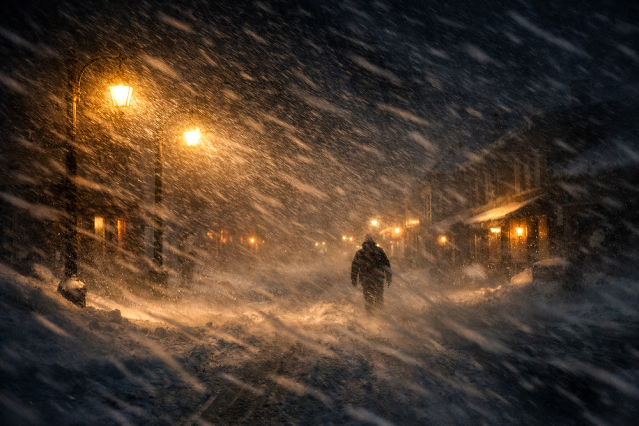 MerlevedeN tweet media