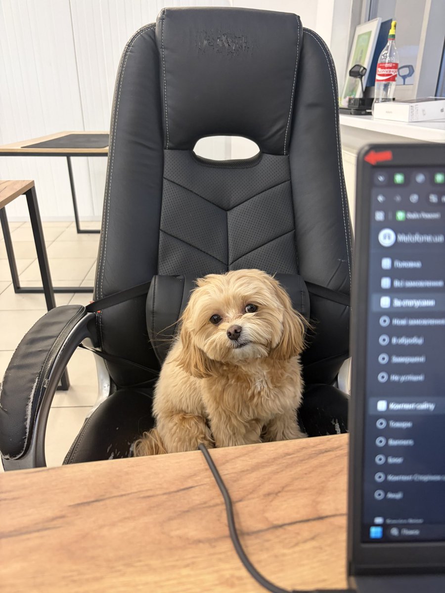 по контуру карася tweet media