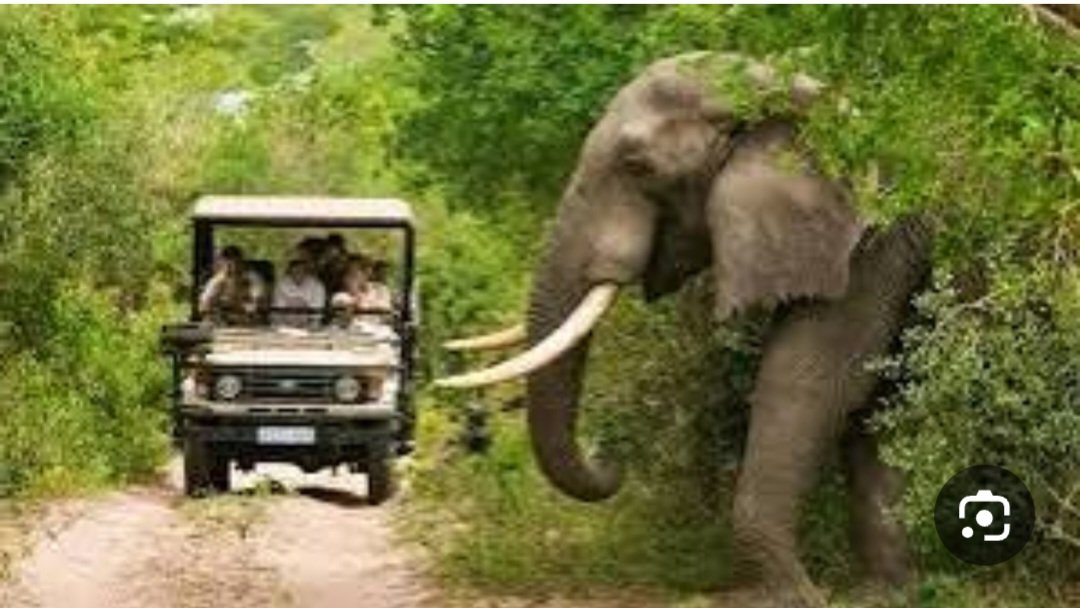 MbaziiraKazibwe's tweet photo. Tourism is a fat cash cow across the world.
Despite our unrivalled attractions,Uganda lags behind Rwanda,Kenya &amp;Tanzania when it comes to cashing in on foreign tourists.
Whats the problém with us and how do we get better?
#LambulaLimaLunda 
#DigitalAgroToursim 
#Cocoland https://t.co/xBrK1QZSZj