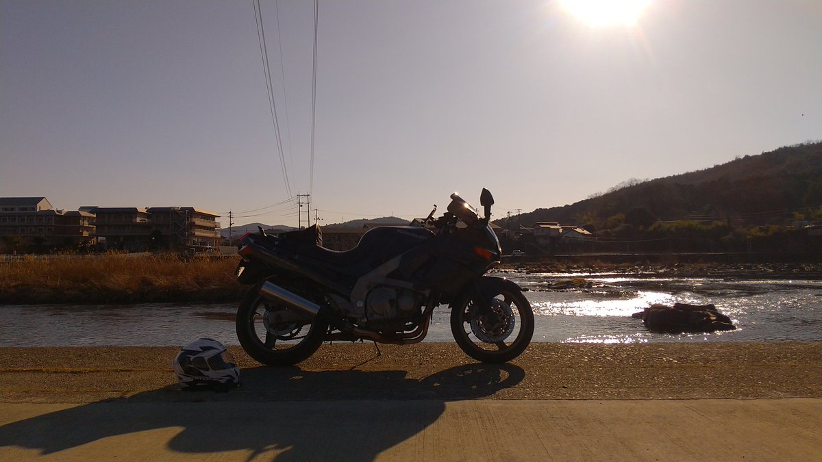 チロル tweet media