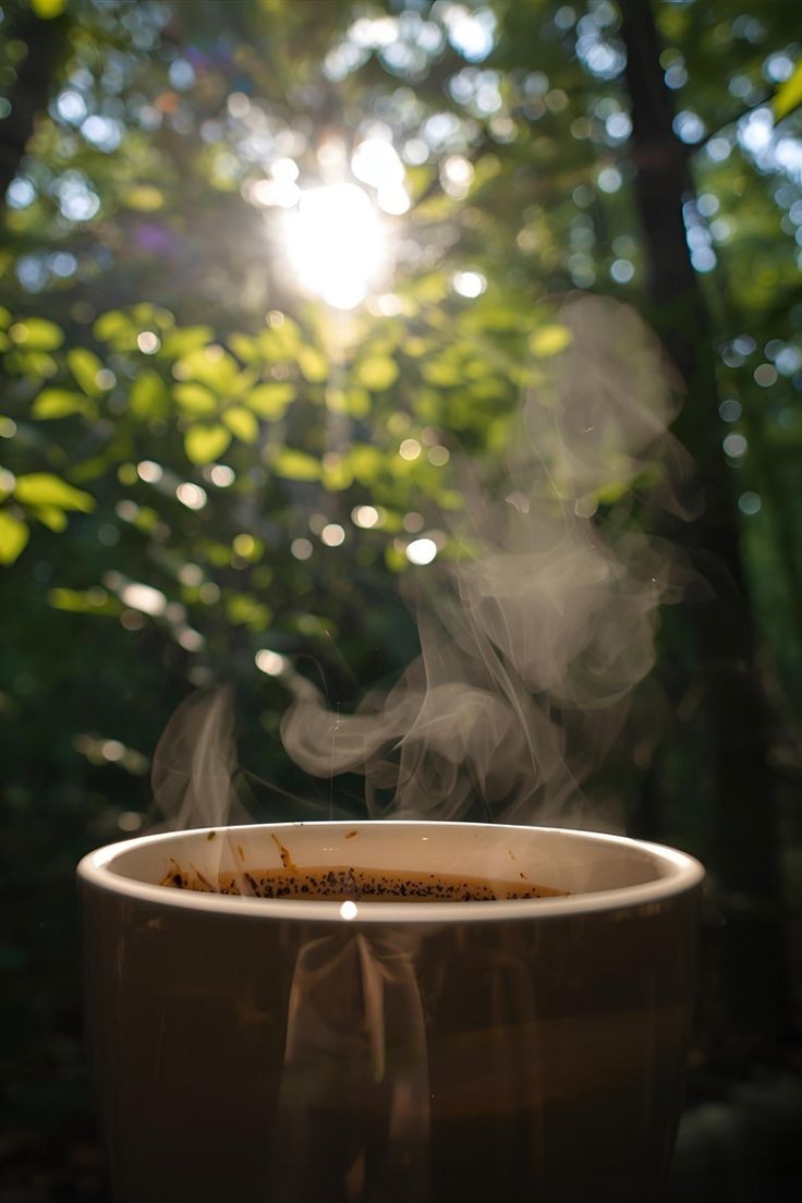 zenitho_xbt's tweet photo. Nothing beats a quiet morning in the woods 🌳☕️
Wishing you all a peaceful start to the day
-Zenitho-
#GoodMorning #CoffeeTime #FreshStart #MindfulMorning #Zenitho