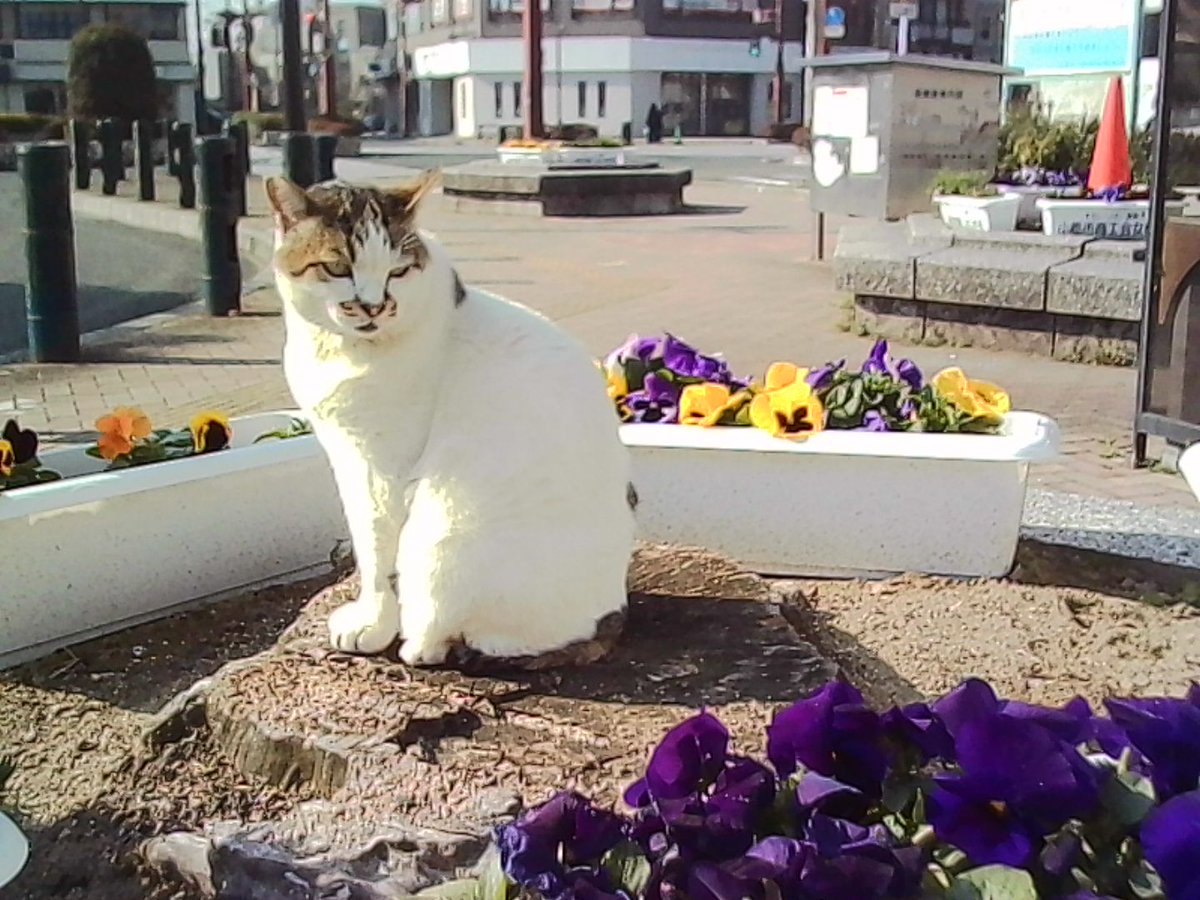 今日撮ったの。 
📷Kodak Charmera  Kodak  トイデジ