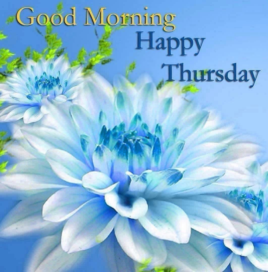 Good morning everyone