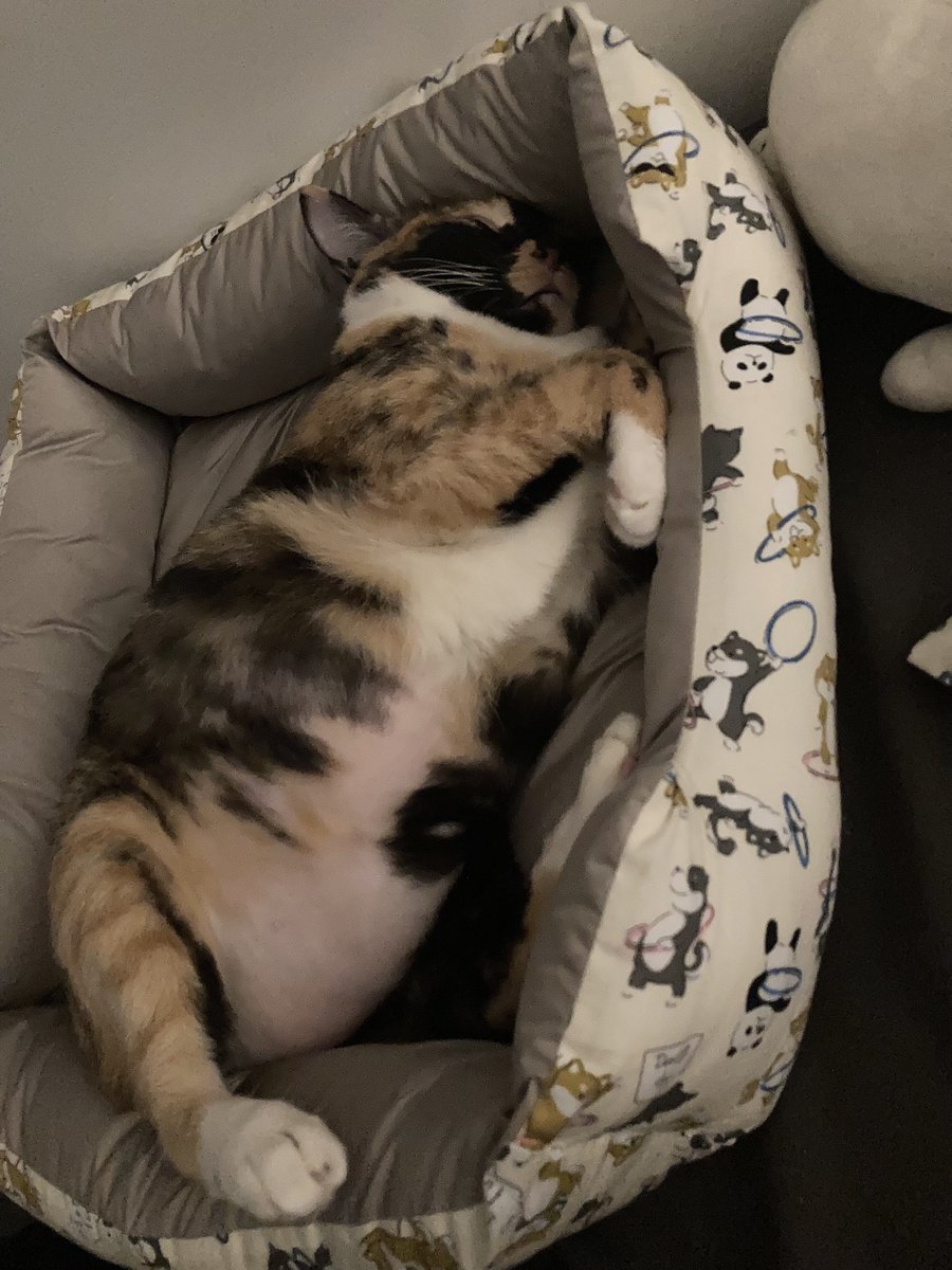 อยากขึ้น(ไปนอน)ป้ายหยั่ยๆแบบคนอื่นบ้างจังเลยน้ออ