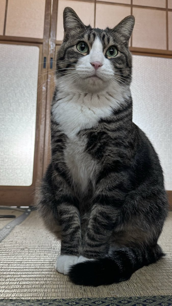 Zmitsulugi tweet media