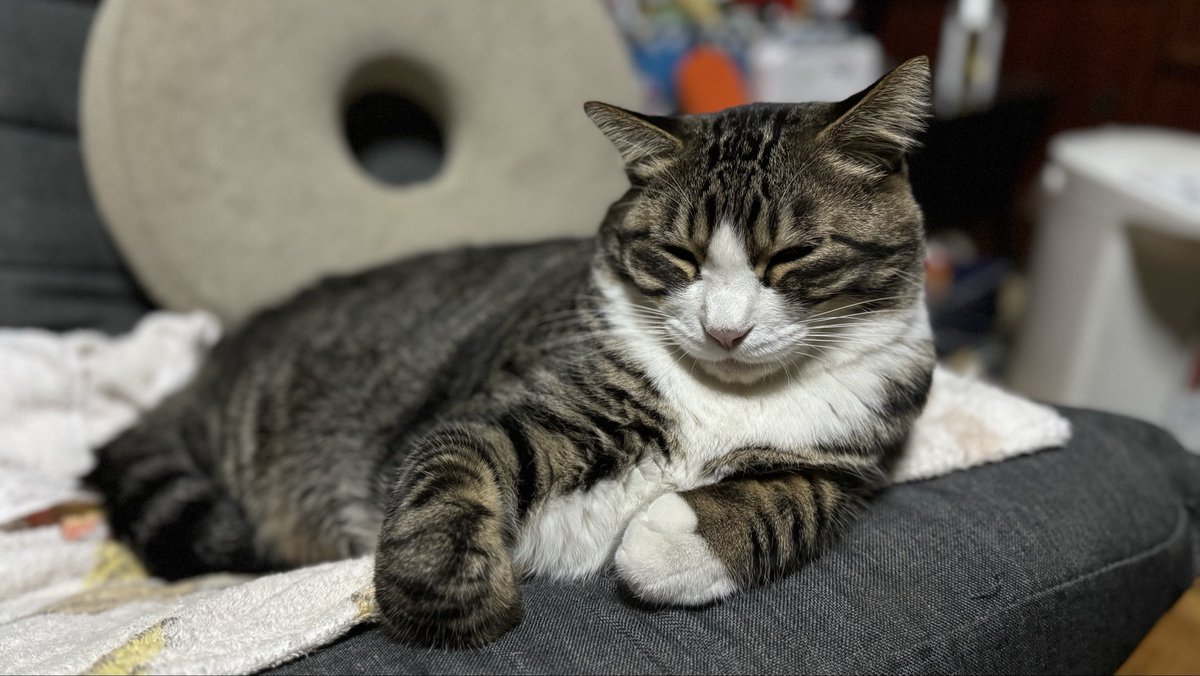 Zmitsulugi tweet media