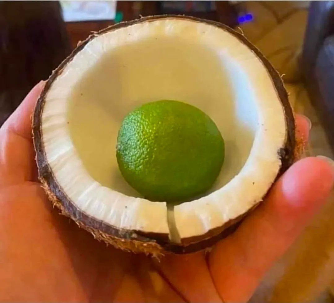 DocAtCDI's tweet image. Ok...

Now What?