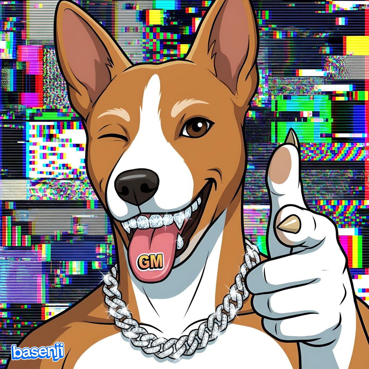 Basenji tweet media