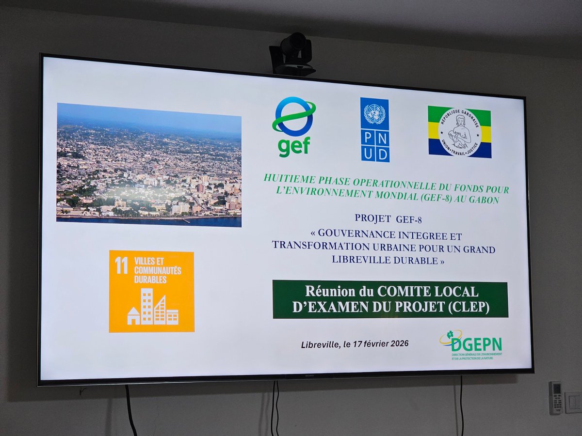 PNUD GABON tweet media