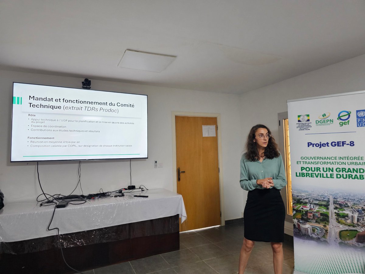 PNUD GABON tweet media