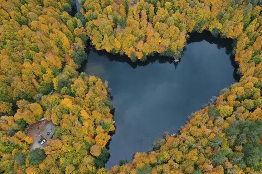 🚨 TBMM’de kabul edilen düzenleme ile milli parklar 99 yıla kadar şirket kullanımına açılıyor.

Adı koruma, özü tahsis.

Milli parklar satılık değil.
Halkındır, doğanındır.

#MilliParklar #DoğaRantDeğil