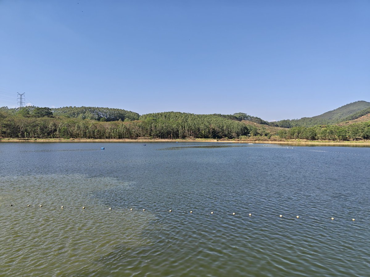 周周1688 tweet media