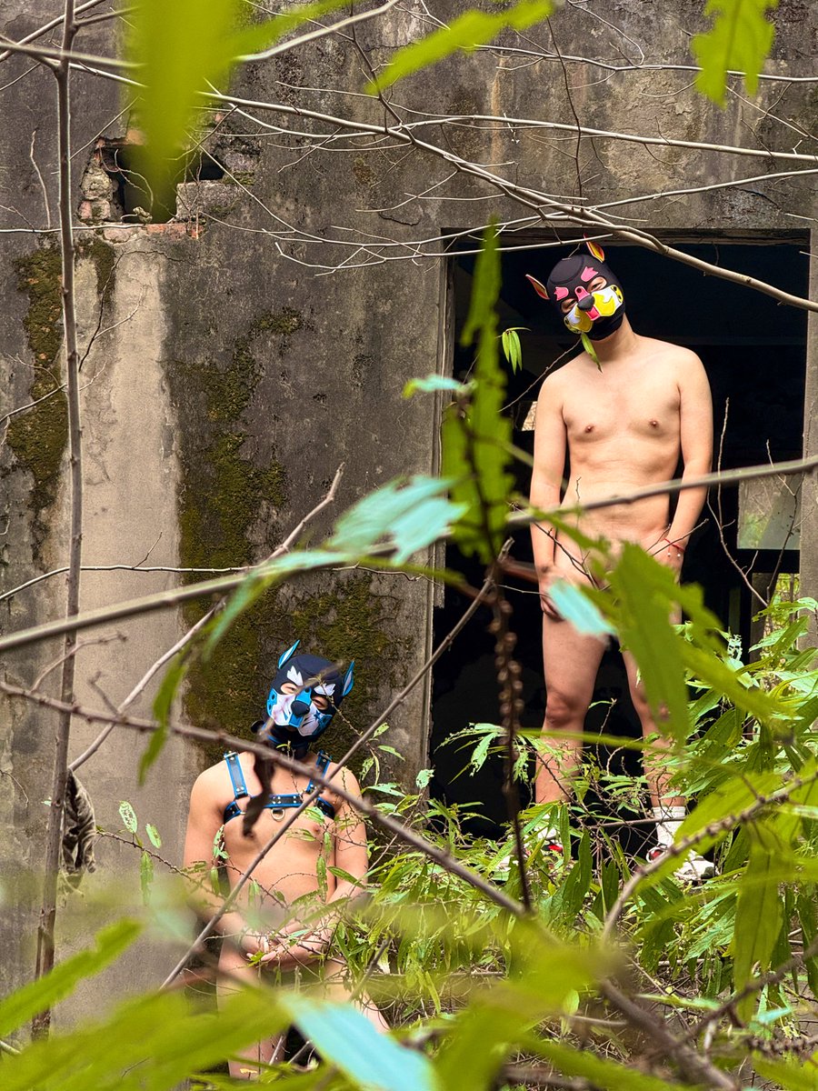 小狗阿诺（Arnotto） tweet media