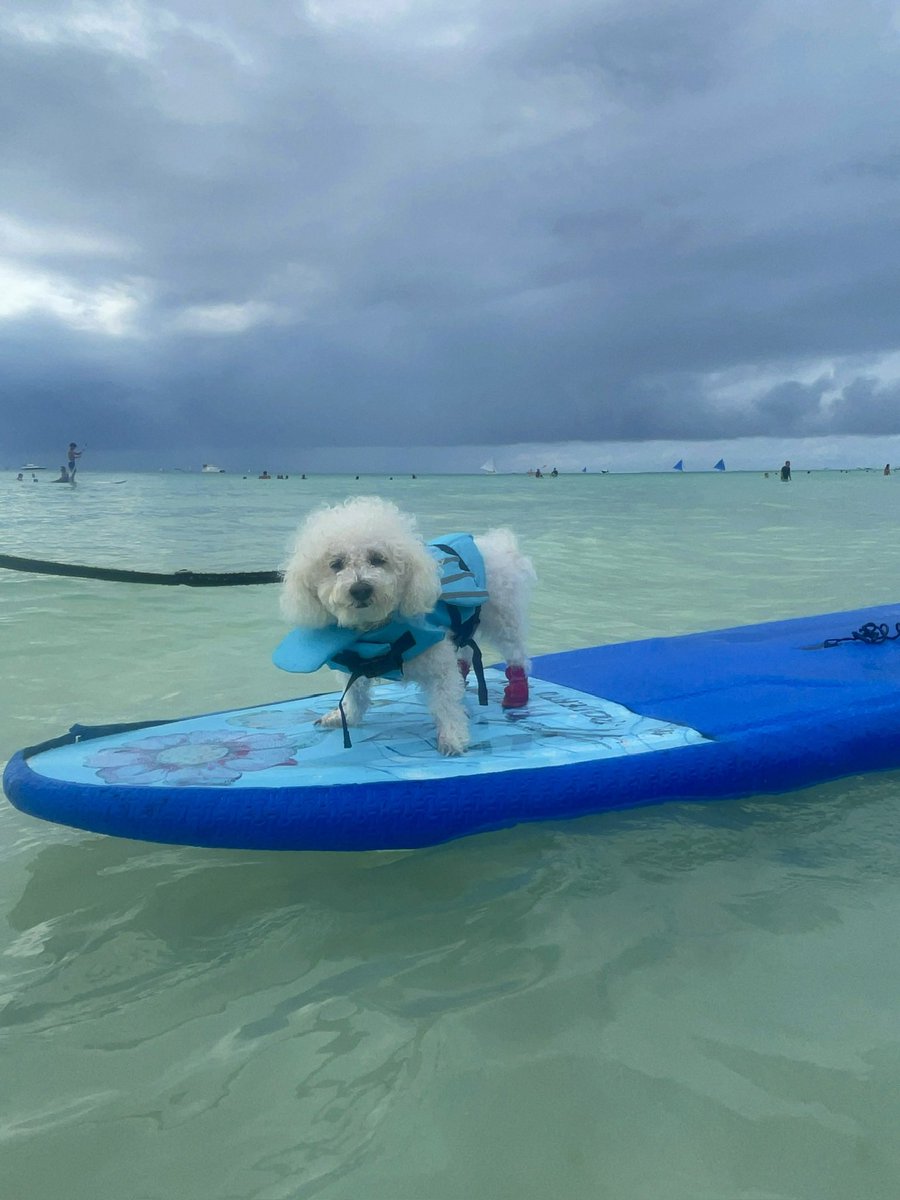 gracefully_seth | Multi-Streaming 🎧 tweet media