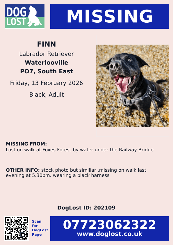 Missing Pets GB tweet media