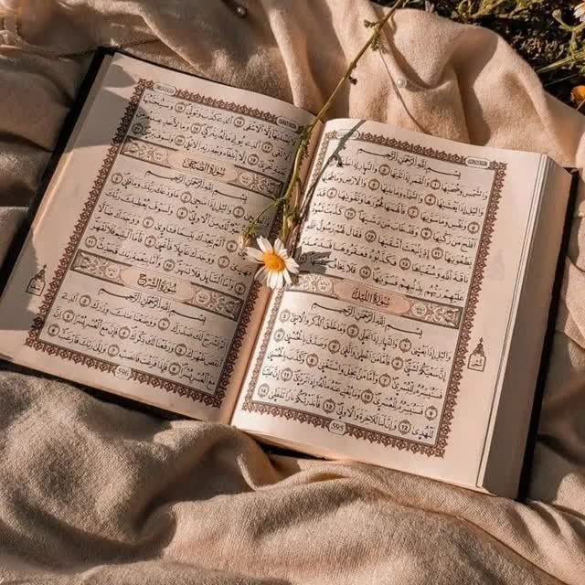 zahra_asl119's tweet photo. قرآن کتاب ذکر است،
هم فکر است، هم حکمت،
هم علم است، هم حقیقت،
هم شریعت است، هم برای قلبها شفا، 
هم برای مومنان هدایت و رحمت.
#رمضان_كريم https://t.co/A5Fok7FyZ5