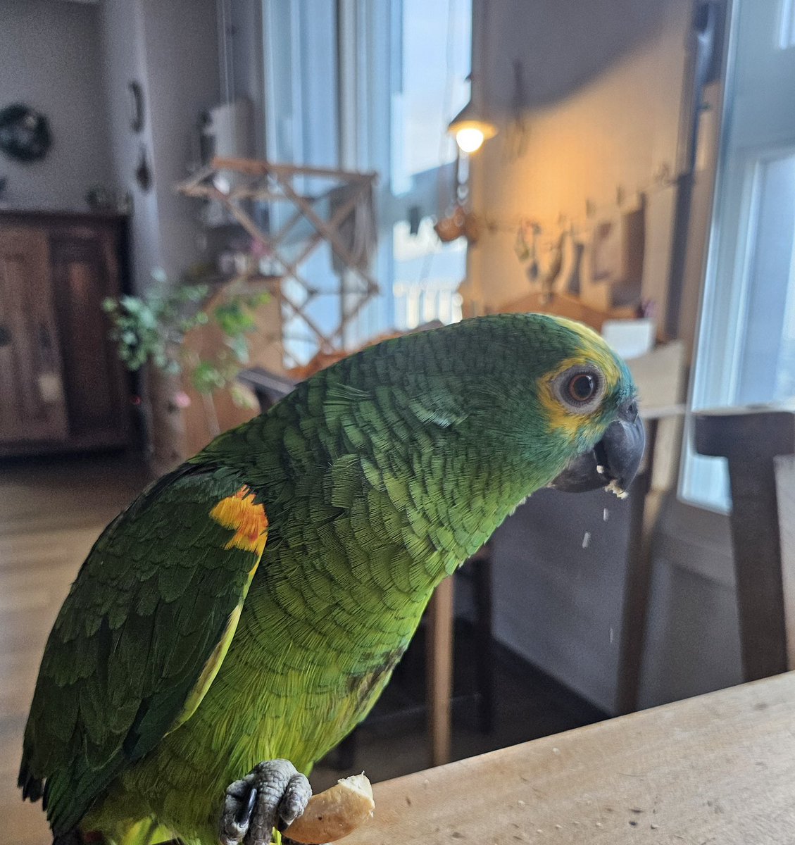 gyupipo tweet media