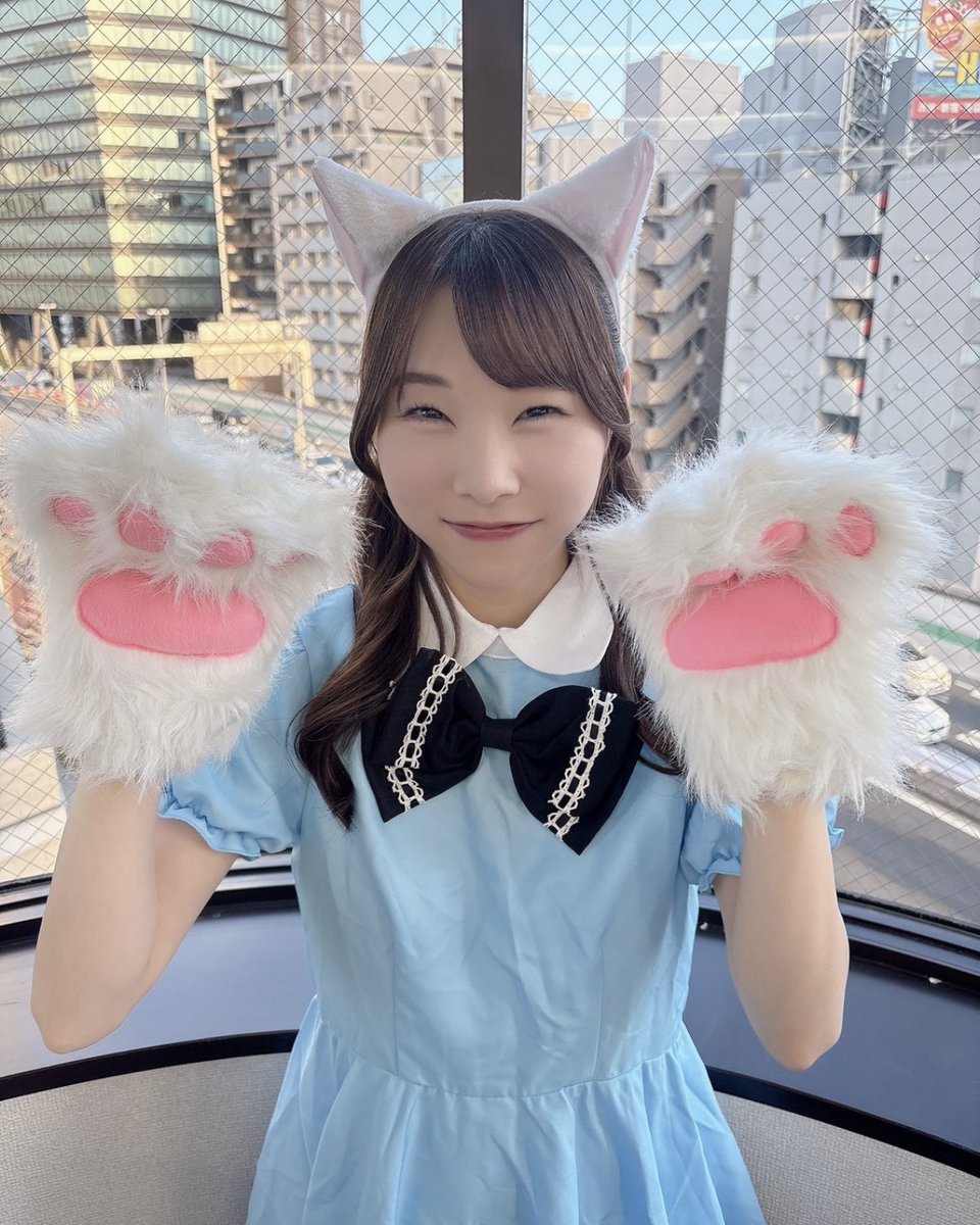 今週末！にゃんにゃんにゃんの日は！ 「IDOL SODA Stream!! In