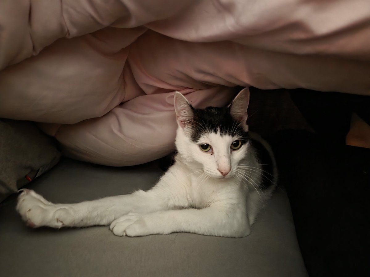 Suzan (met een Z zonder NE) tweet media