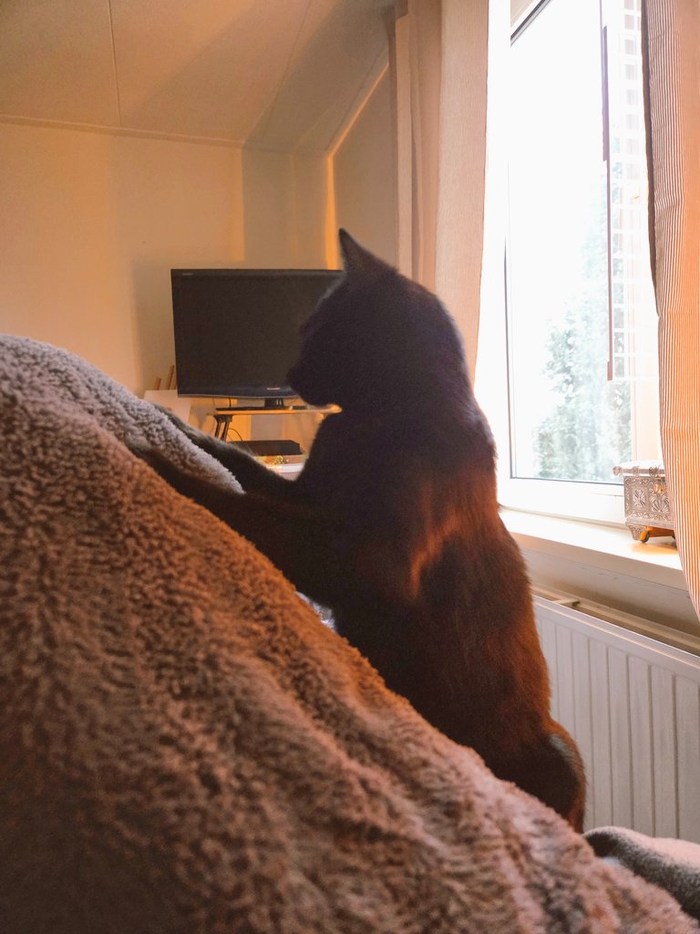 Suzan (met een Z zonder NE) tweet media