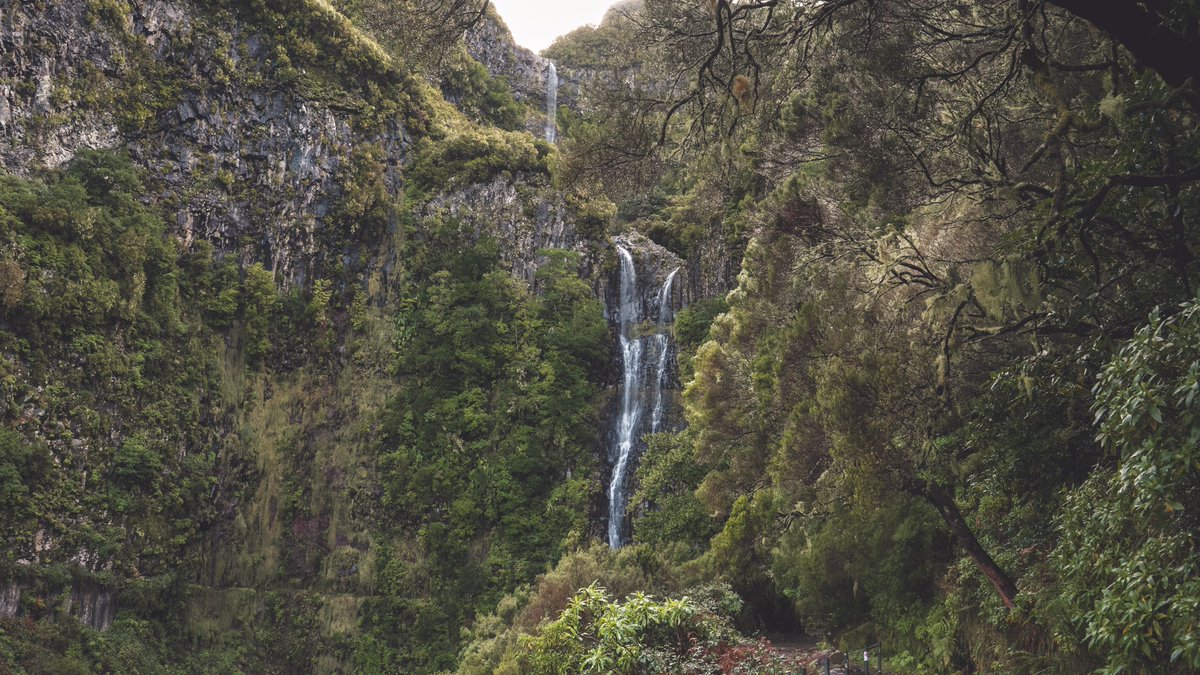 JN ~ 💙 tweet media