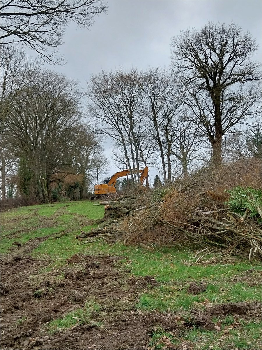 MartineCONORD's tweet photo. L'entretien des bouchures se poursuit en #Combraillesbourbonnaises
"Qui taille son arbre soigne sa descendance"
#haie
Bonne journée
Prenez soin de vous
Soutien aux sinistrés https://t.co/rgdGHf9K9j