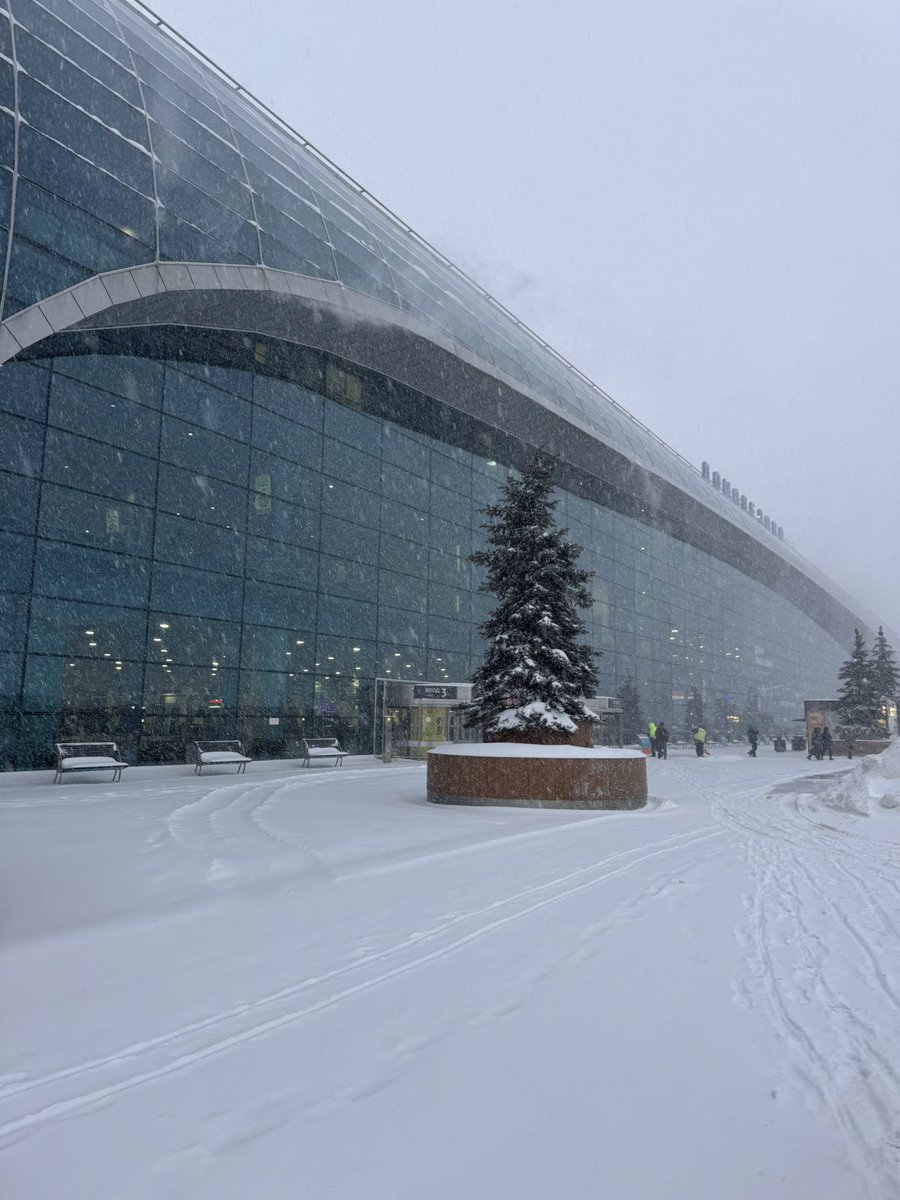 Kyoko Akatsuka tweet media