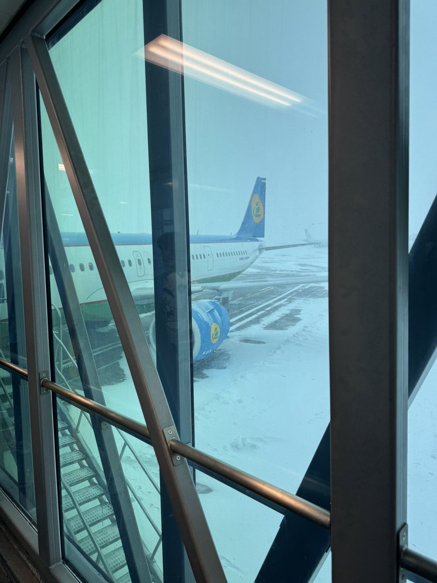 Kyoko Akatsuka tweet media