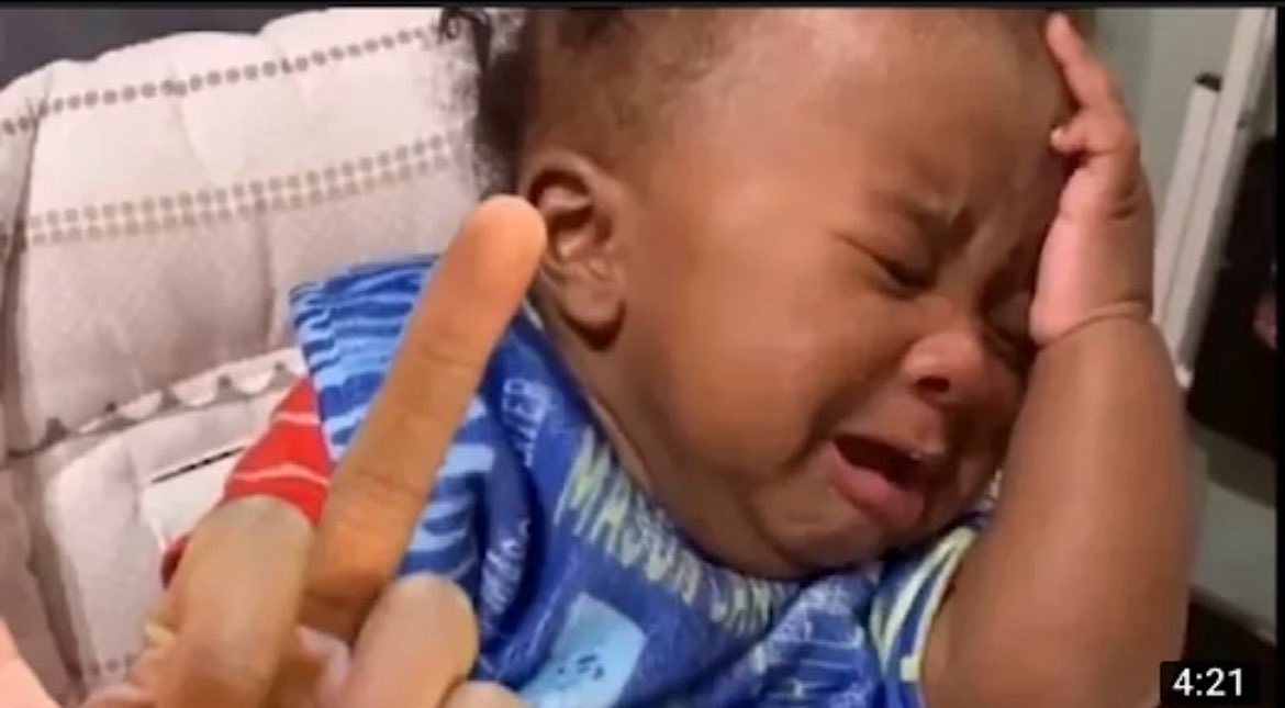 ThatDevSchteelo's tweet image. Any fud and or scam links will get you deported