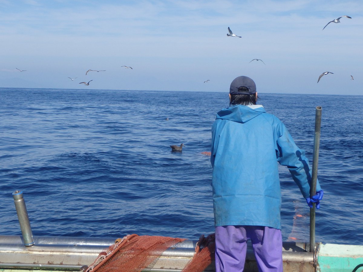 てらむら tweet media