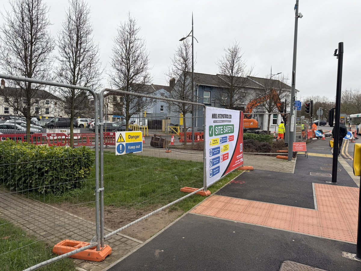 Noel Fitzpatrick Ltd tweet media