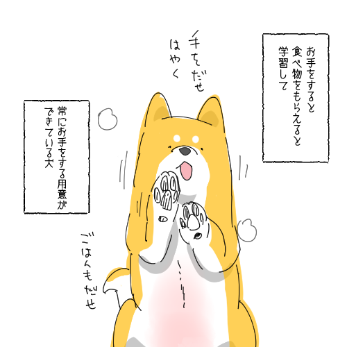 🐶「常に準備しています」 