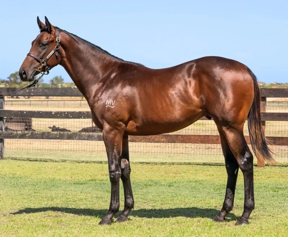 Pearce Racing tweet media